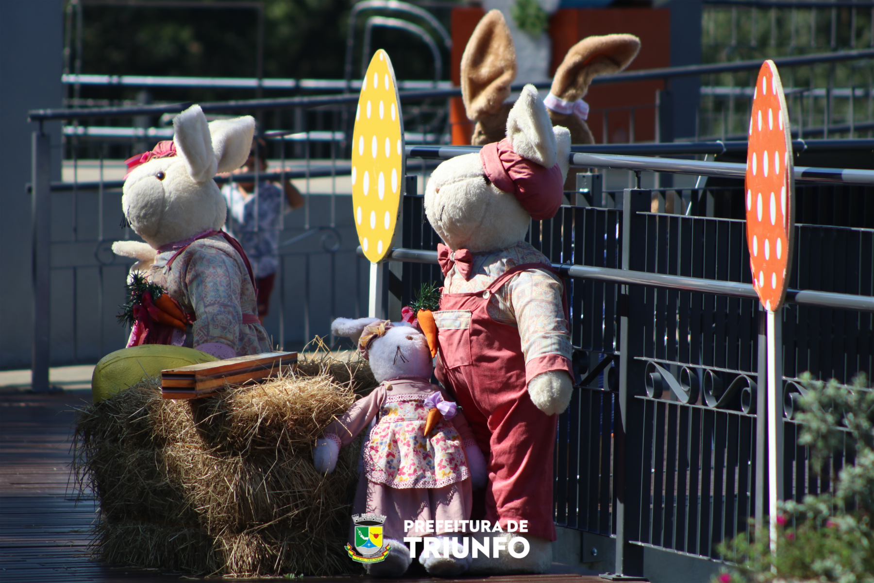 _MG_159 (2)_260402161626.png