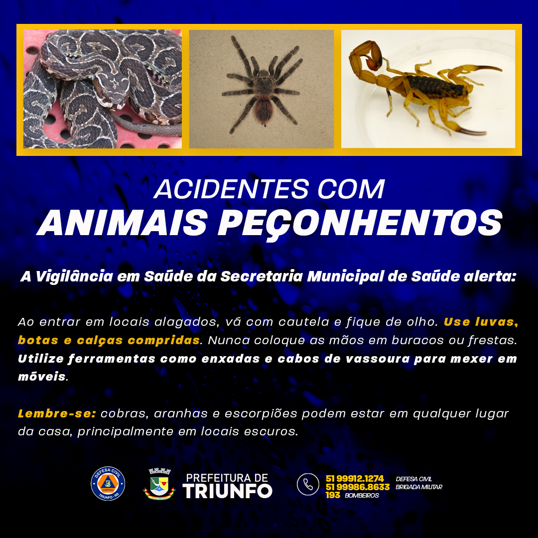 alerta-para-os-acidentes-com-animais-peconhentos
