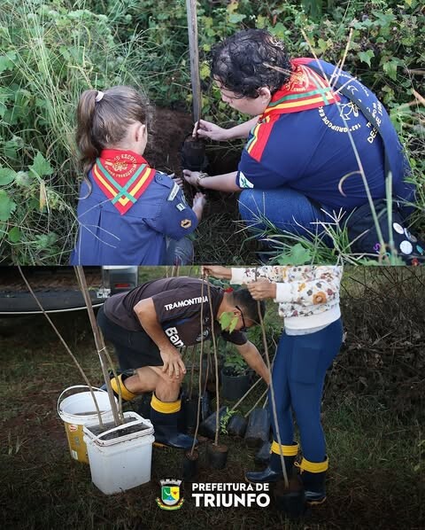 plantio-de-mudas-de-arvores-nativas